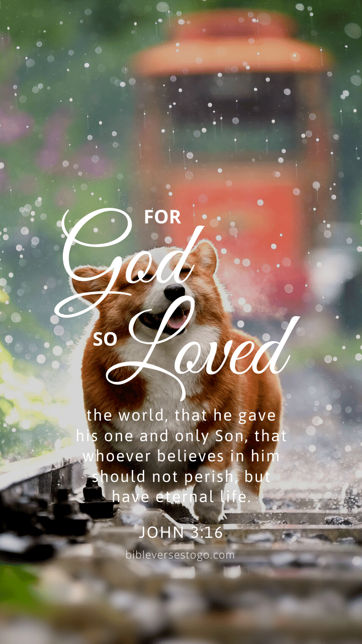 Christian Wallpaper - Dog Smile John 3:16