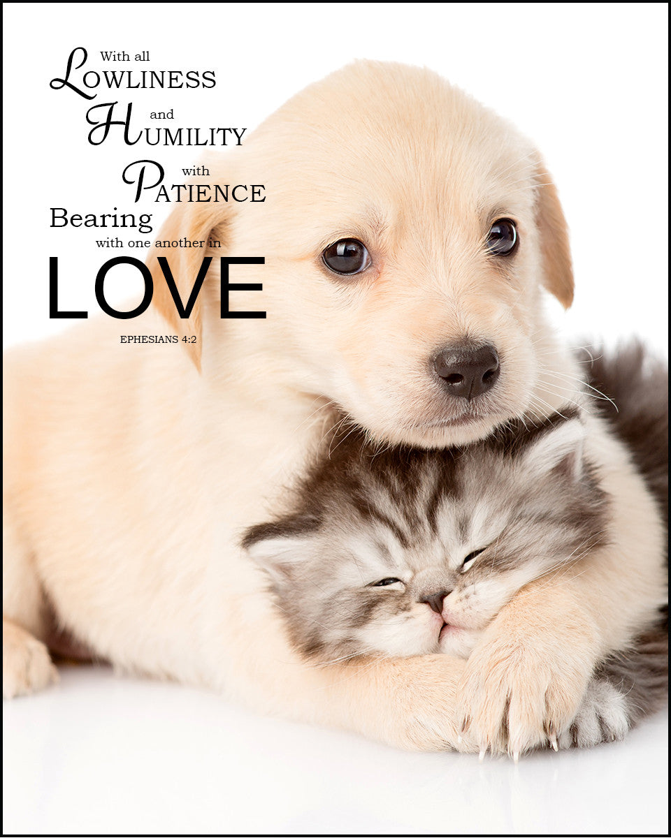 Ephesians 4:2 - In Love - Bible Verses To Go