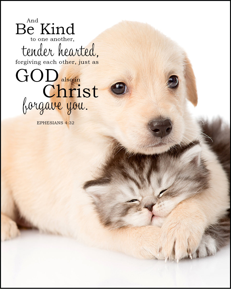 Ephesians 4:32 - Be Kind &amp; Forgiving - Bible Verses To Go