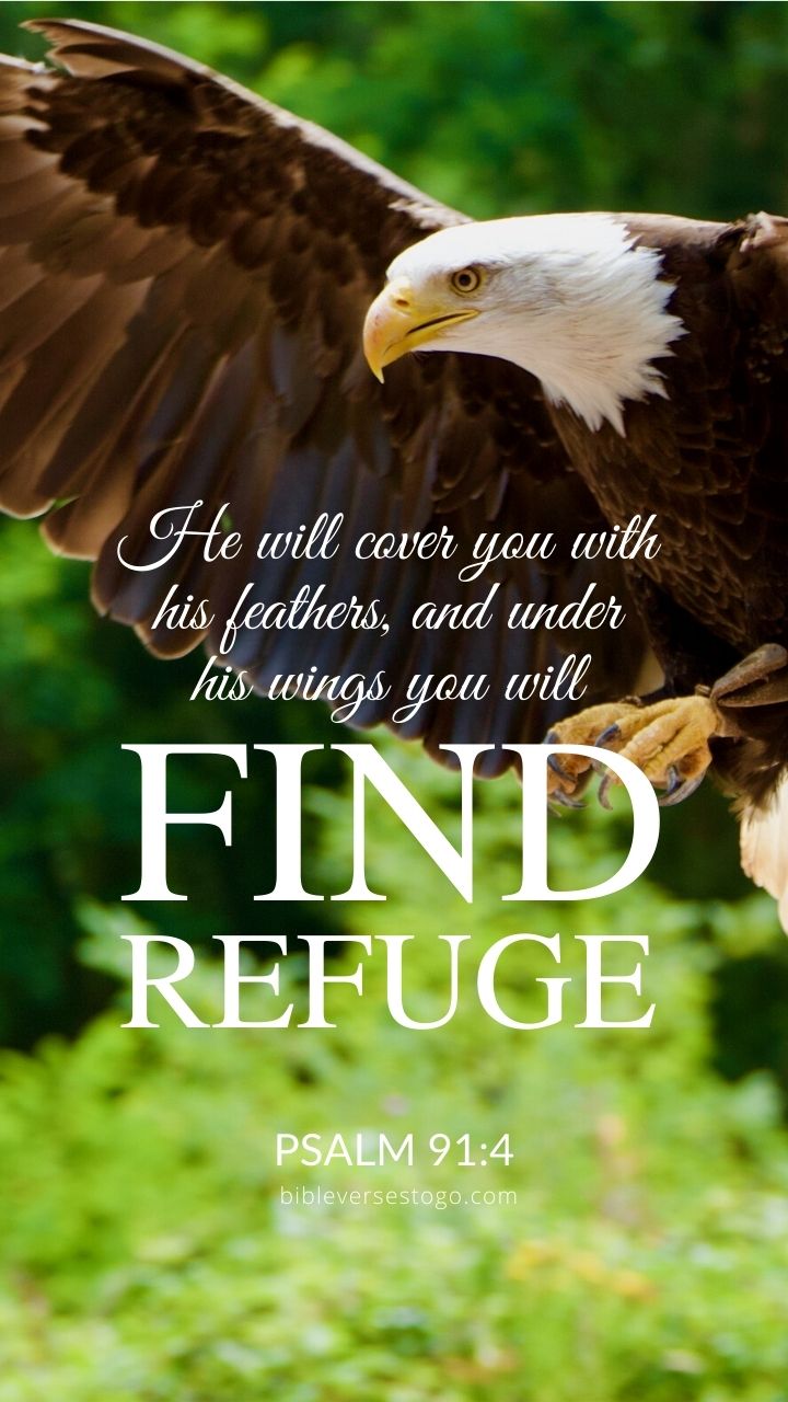Christian Wallpaper - Find Refuge Psalm 91:4