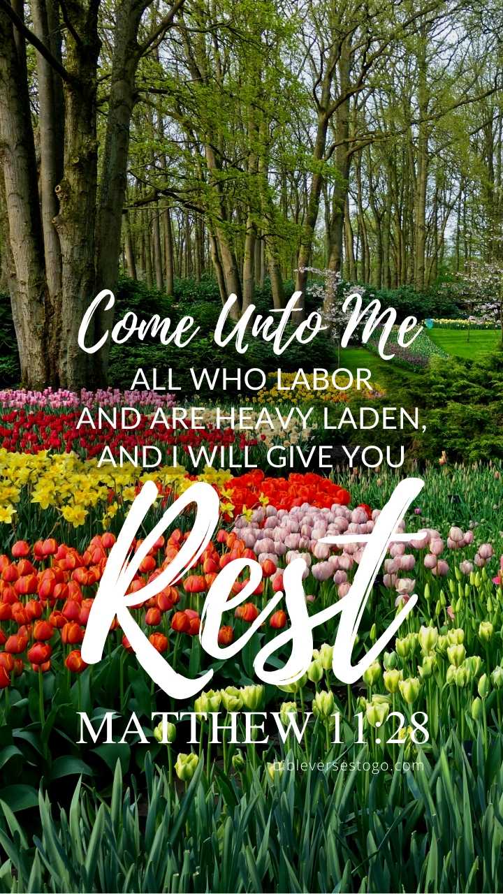 Christian Wallpaper – Flower Garden Matthew 11:28