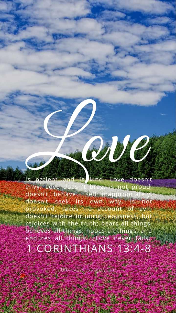 Christian Wallpaper – Flowerfield 1 Corinthians 13:4-8