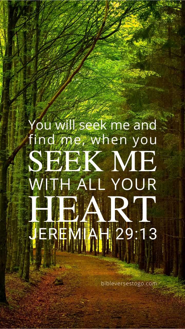 Christian Wallpaper - Forest Path Jeremiah 29:13