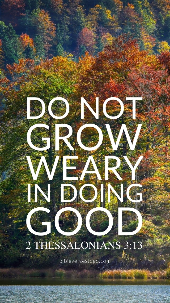 Christian Wallpaper - Forest of Colors 2 Thessalonians 3:13