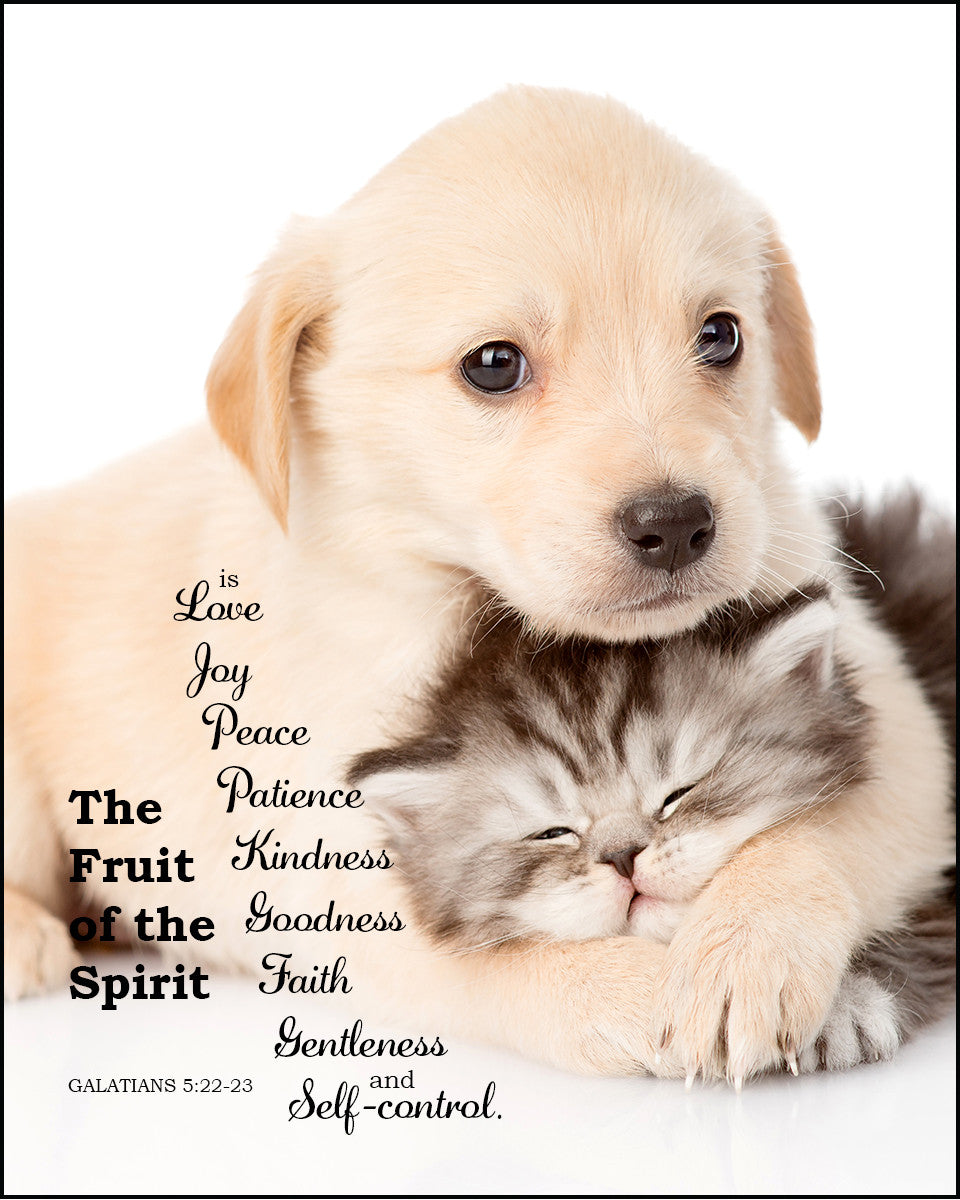 Galatians 5:22-23 - Fruit of the Spirit - Bible Verses To Go
