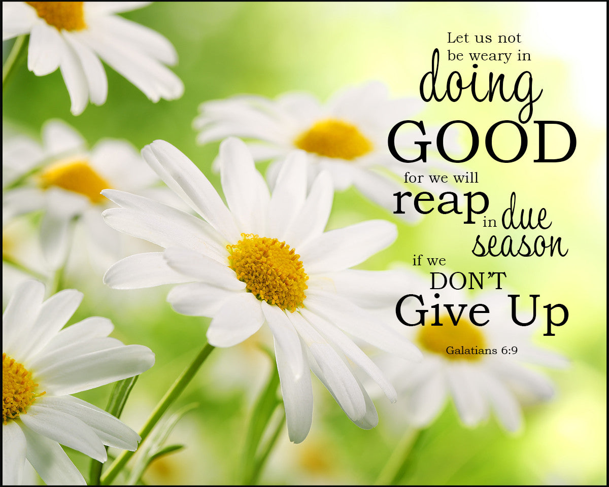 Galatians 6:9 - Doing Good - Bible Verses To Go