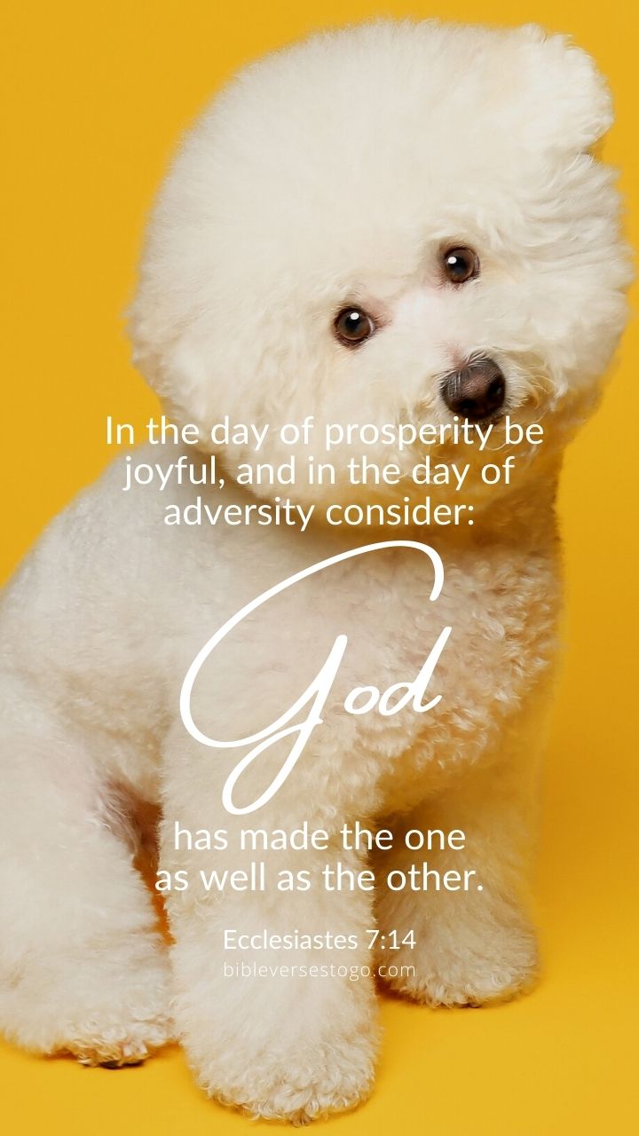 Christian Wallpaper - God Made Both Ecclesiastes 7:14