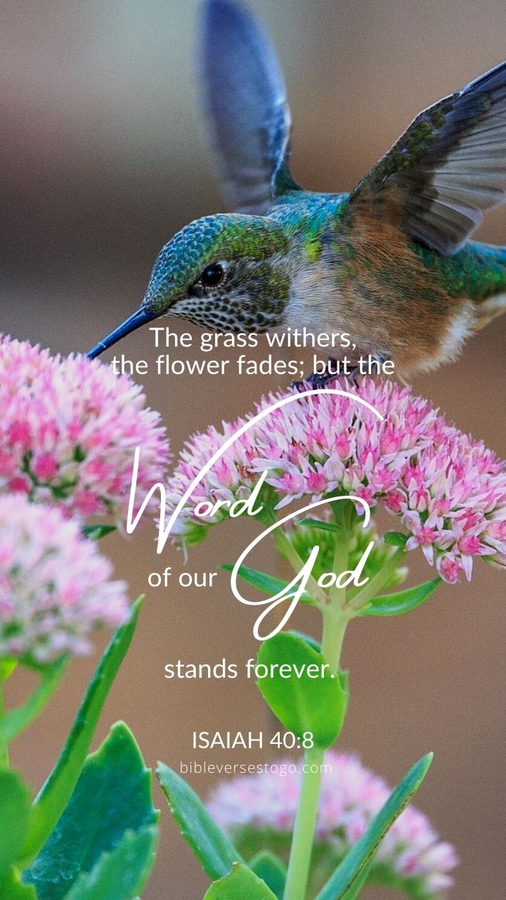 Christian Wallpaper - God&#39;s Word Forever Isaiah 40:8
