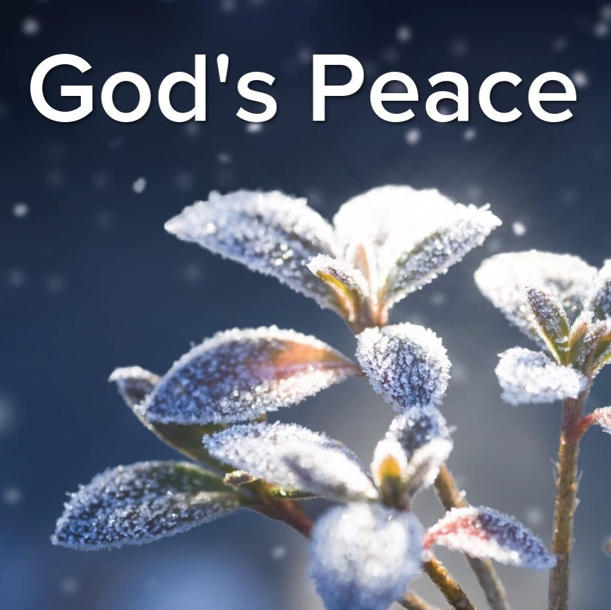 John 14:27 God's Peace - VIDEO