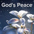 John 14:27 God's Peace - VIDEO