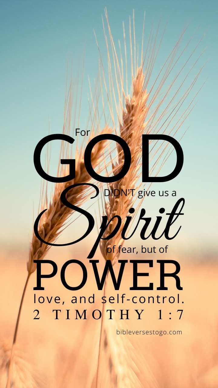 Christian Wallpaper – Grains 2 Timothy 1:7