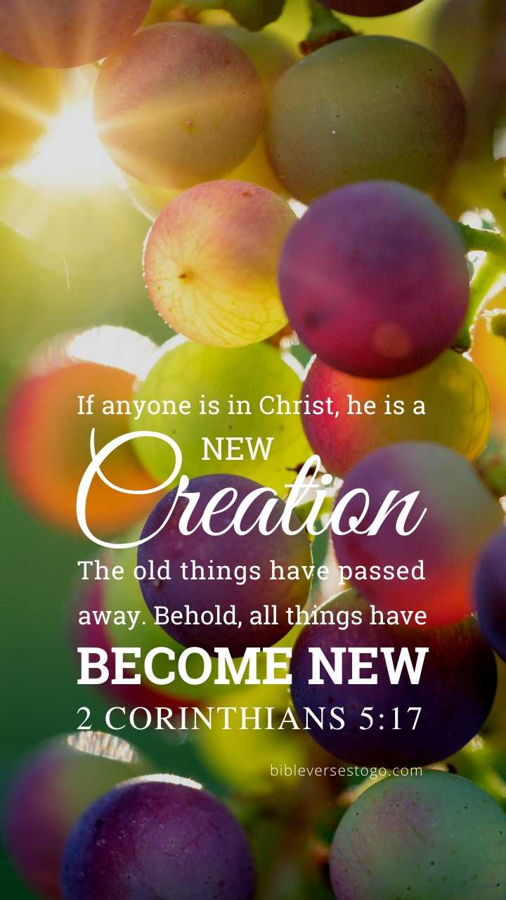 Christian Wallpaper - Grapes 2 Corinthians 5:17