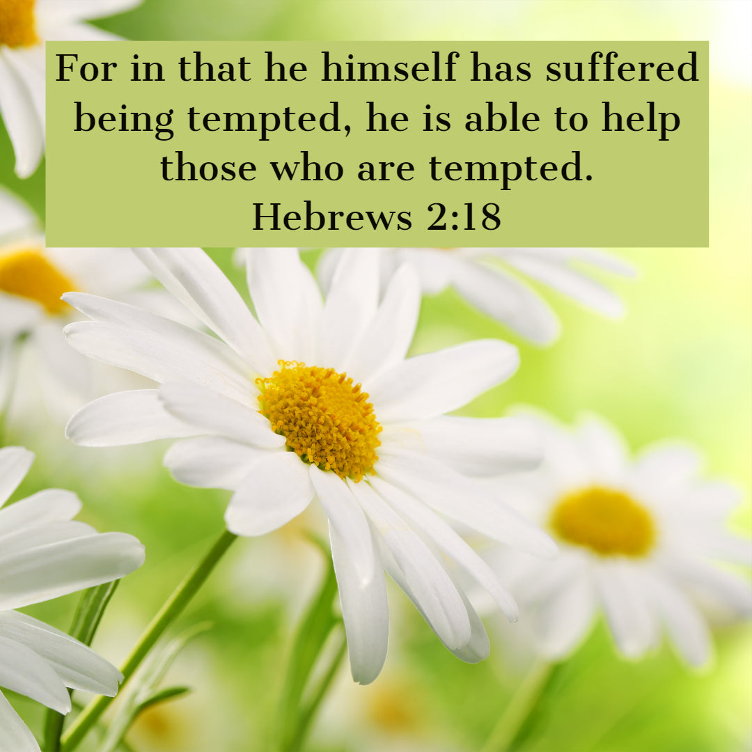 Hebrews 2:18 - Help Those Who Are Tempted - Bible Verses To Go