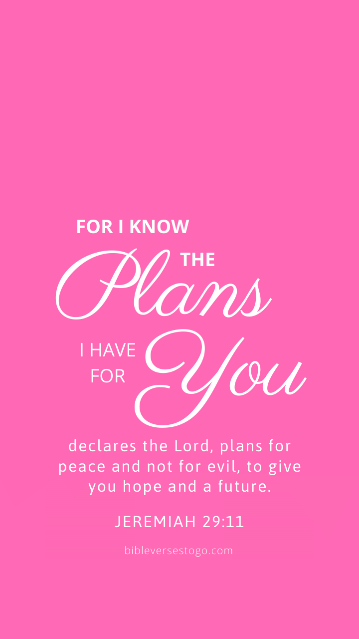 Christian Wallpaper – Hot Pink Jeremiah 29:11