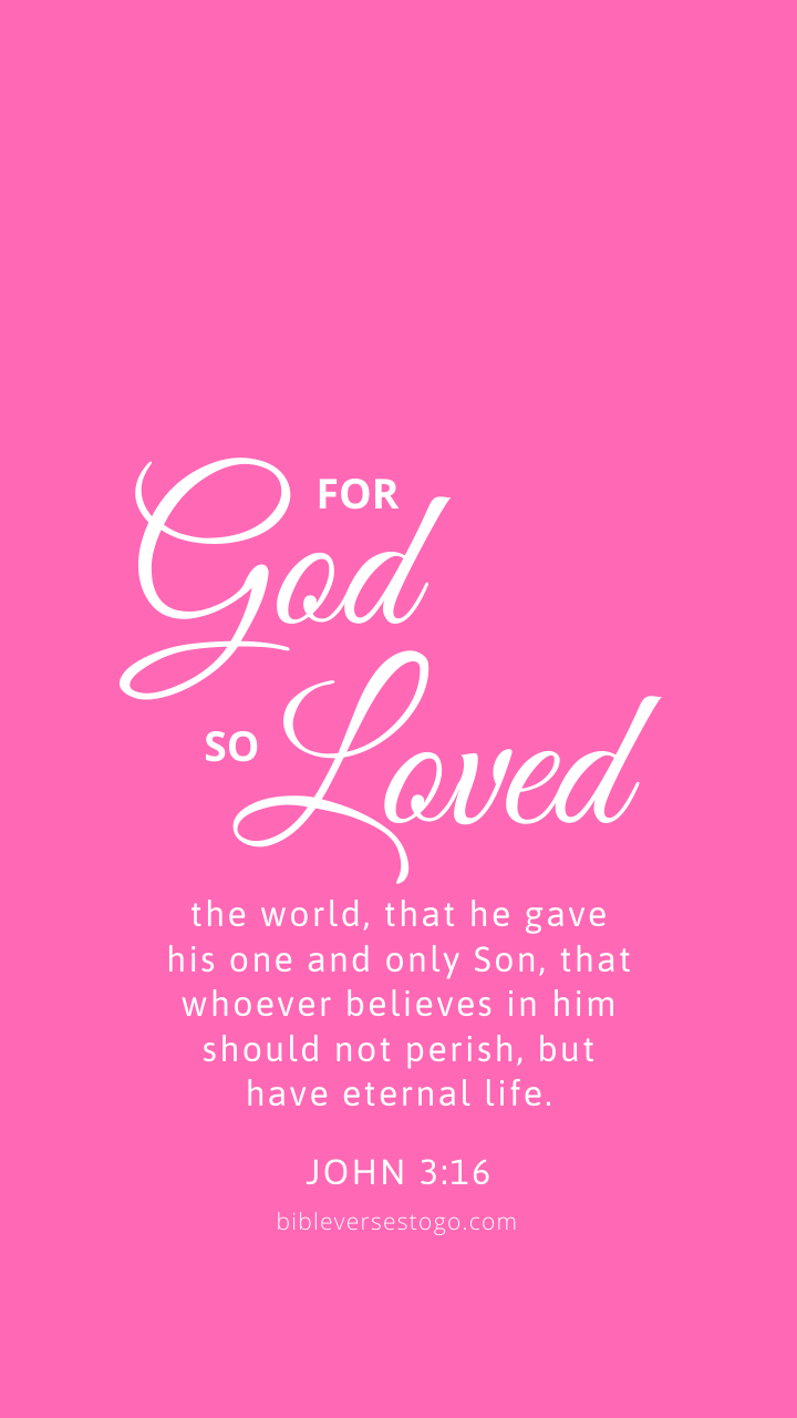 Christian Wallpaper – Hot Pink John 3:16