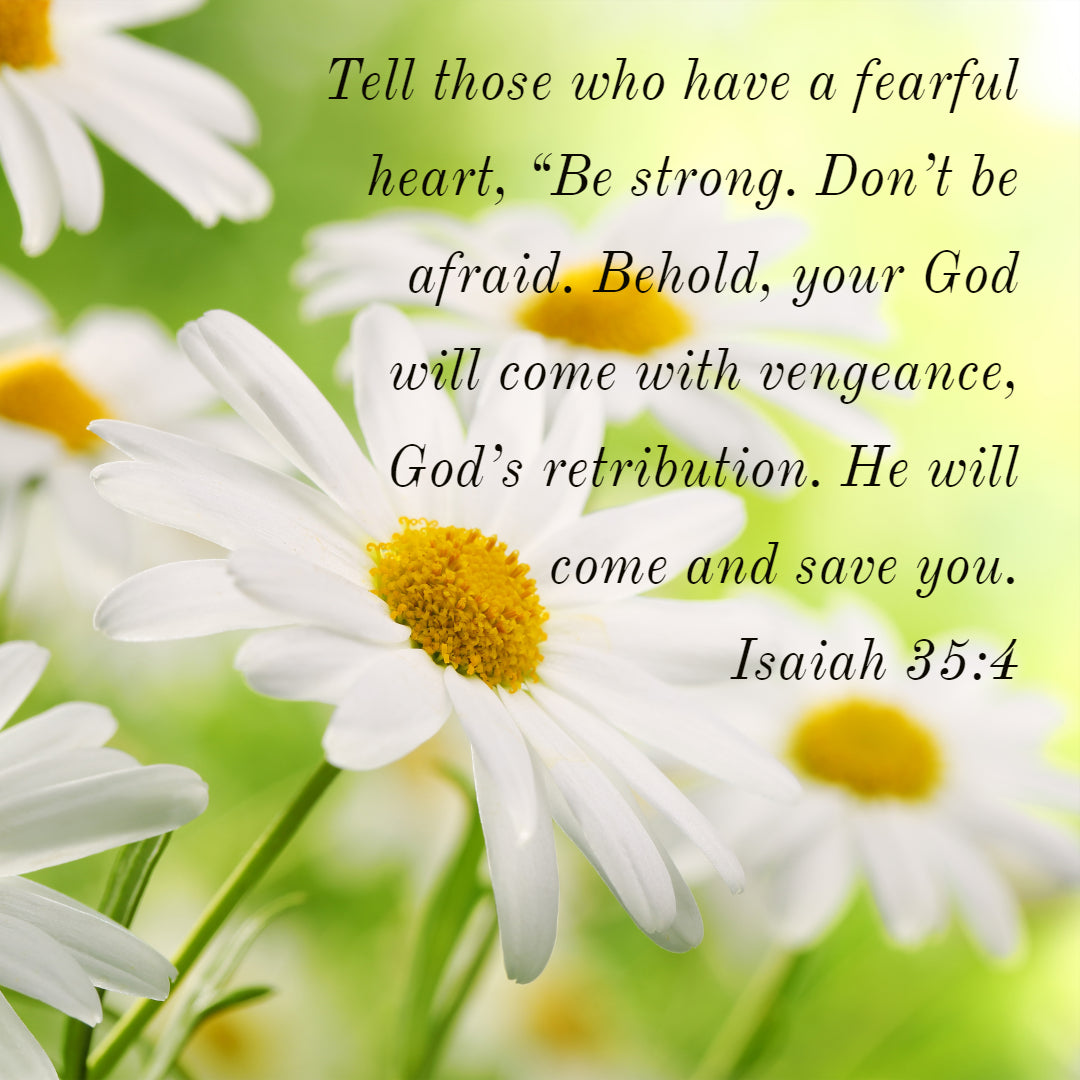 Isaiah 35:4 - Be Strong, Don&#39;t Be Afraid - Bible Verses To Go