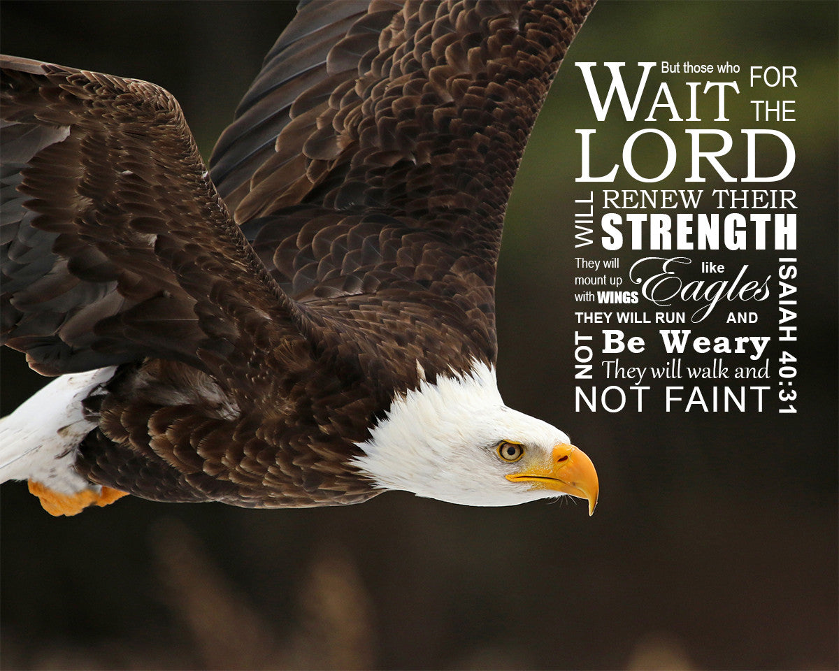 Isaiah 40:31 - Wings Like Eagles - Bible Verses To Go