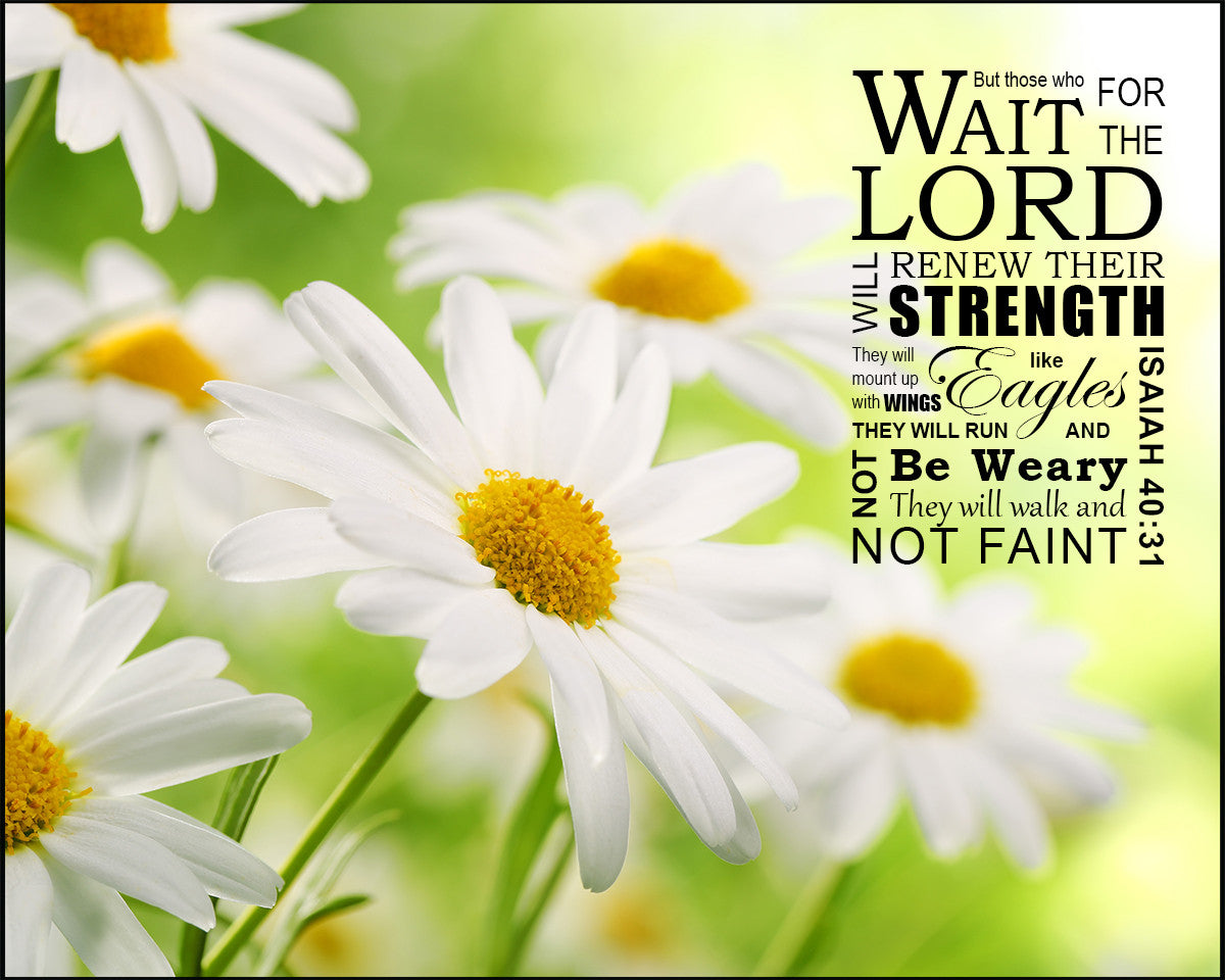 Isaiah 40:31 - Wings Like Eagles - Bible Verses To Go