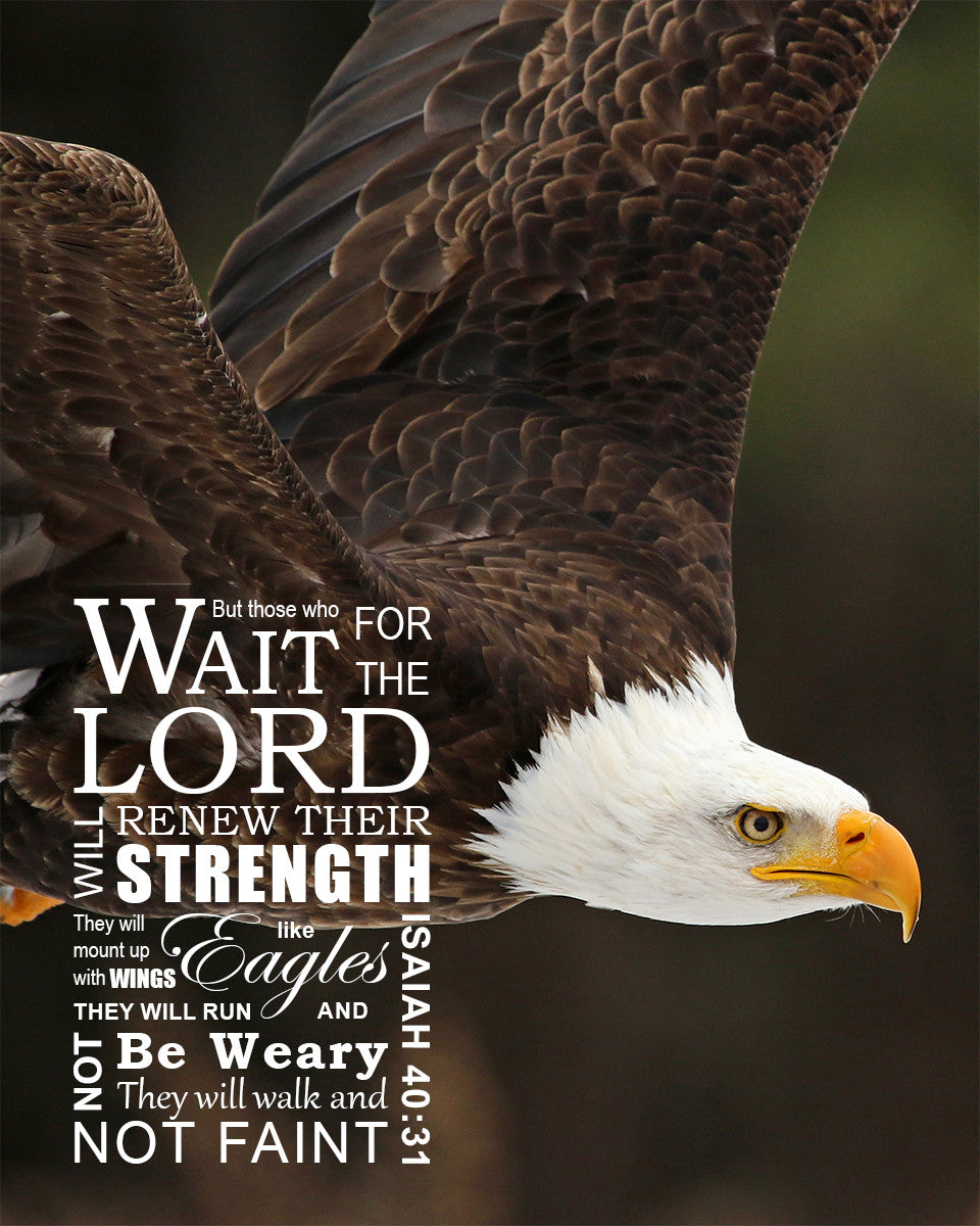 Isaiah 40:31 - Wings Like Eagles - Bible Verses To Go