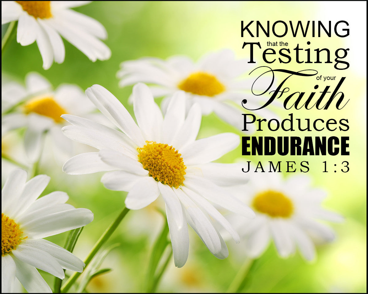 James 1:3 - Testing of Faith - Bible Verses To Go