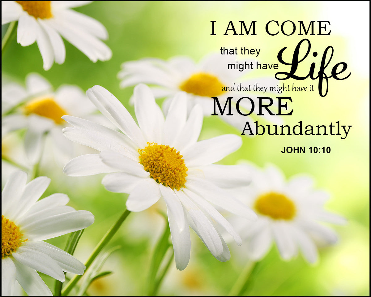 John 10:10 - Abundant Life - Bible Verses To Go