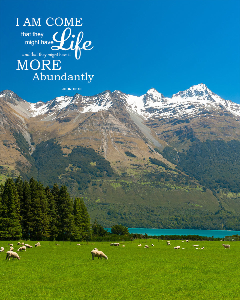 John 10:10 - Abundant Life - Bible Verses To Go