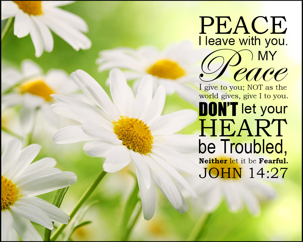John 14:27 - Peace to You - Bible Verses To Go