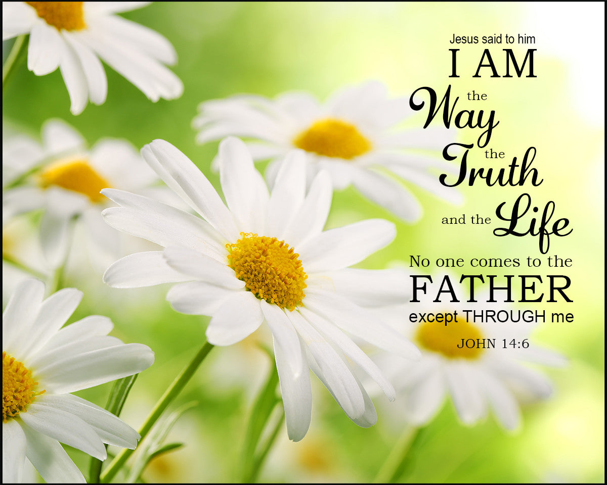 John 14:6 - I Am the Way - Bible Verses To Go