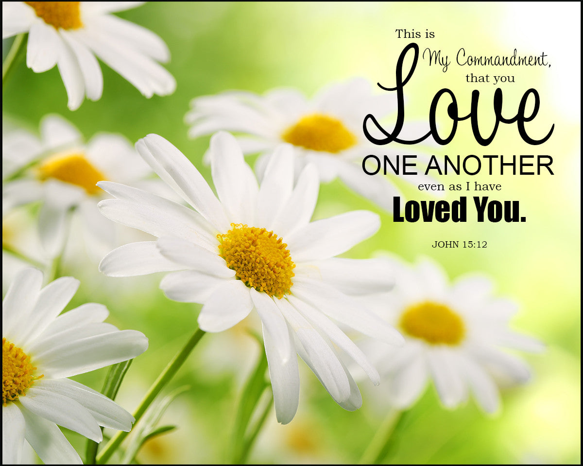 John 15:12 - Love One Another - Bible Verses To Go