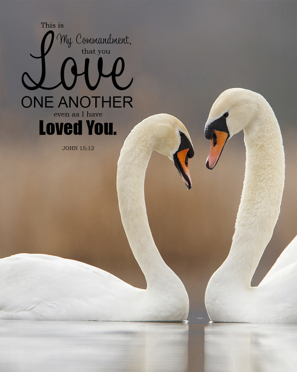 John 15:12 - Love One Another - Bible Verses To Go