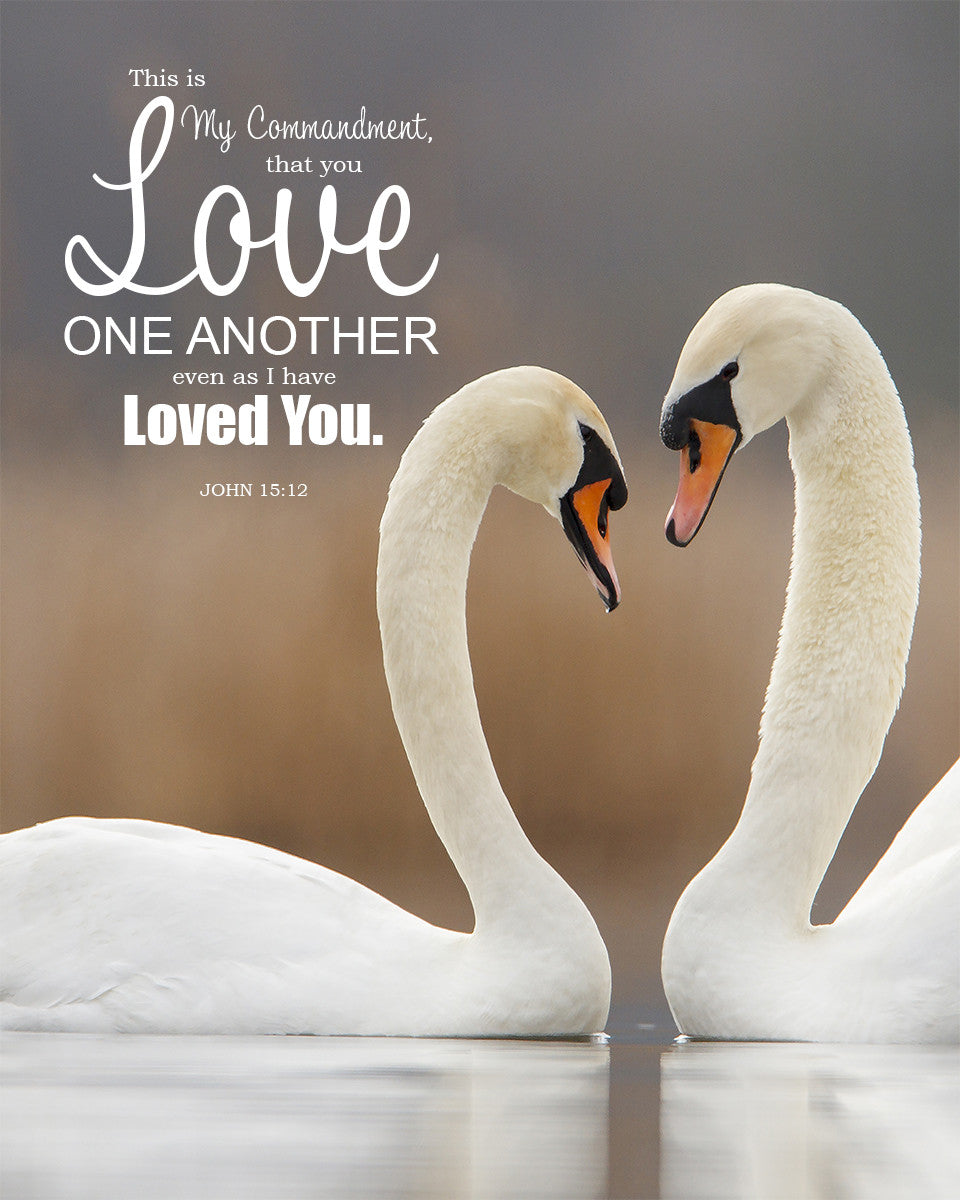 John 15:12 - Love One Another - Bible Verses To Go