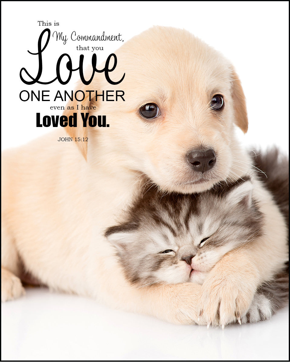 John 15:12 - Love One Another - Bible Verses To Go