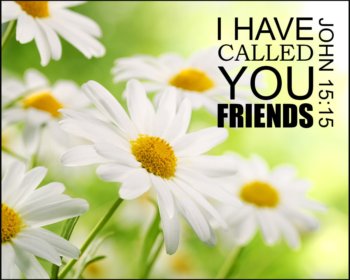 John 15:15 - Call You Friends - Bible Verses To Go