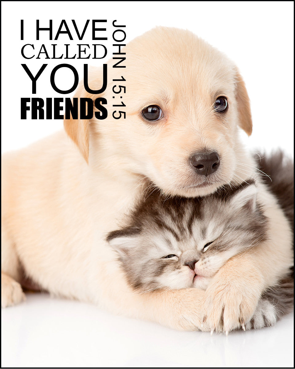 John 15:15 - Call You Friends - Bible Verses To Go