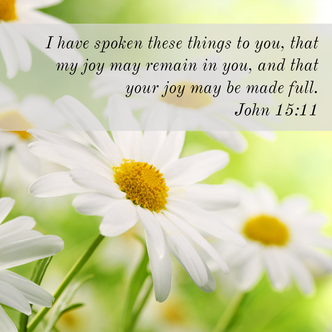 John 15:11 - Your Joy May Be Made Full - Bible Verses To Go