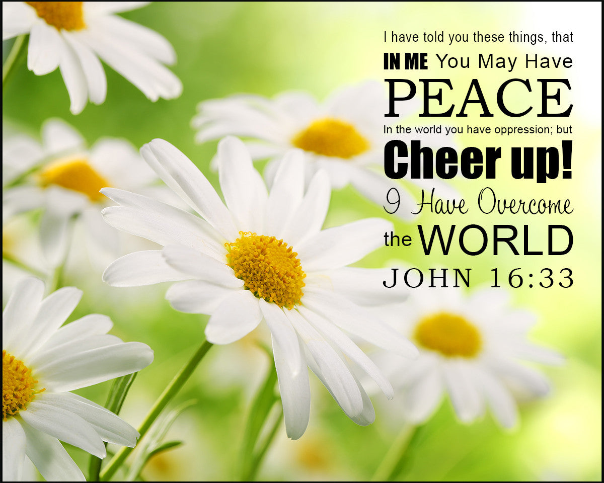 John 16:33 - Be of Good Cheer - Bible Verses To Go
