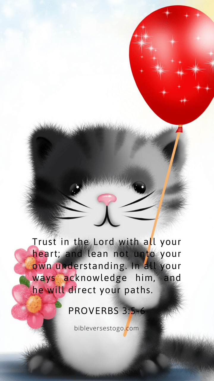 Christian Wallpaper – Kitty Proverbs 3:5-6