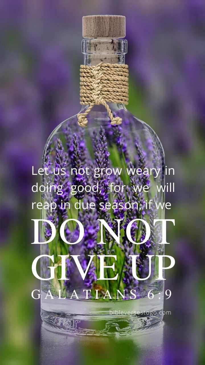 Christian Wallpaper - Lavender Bottle Galatians 6:9