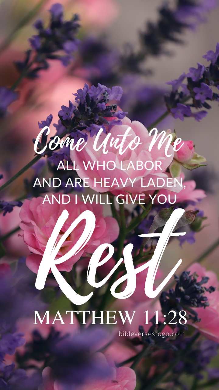 Christian Wallpaper - Lavender Matthew 11:28