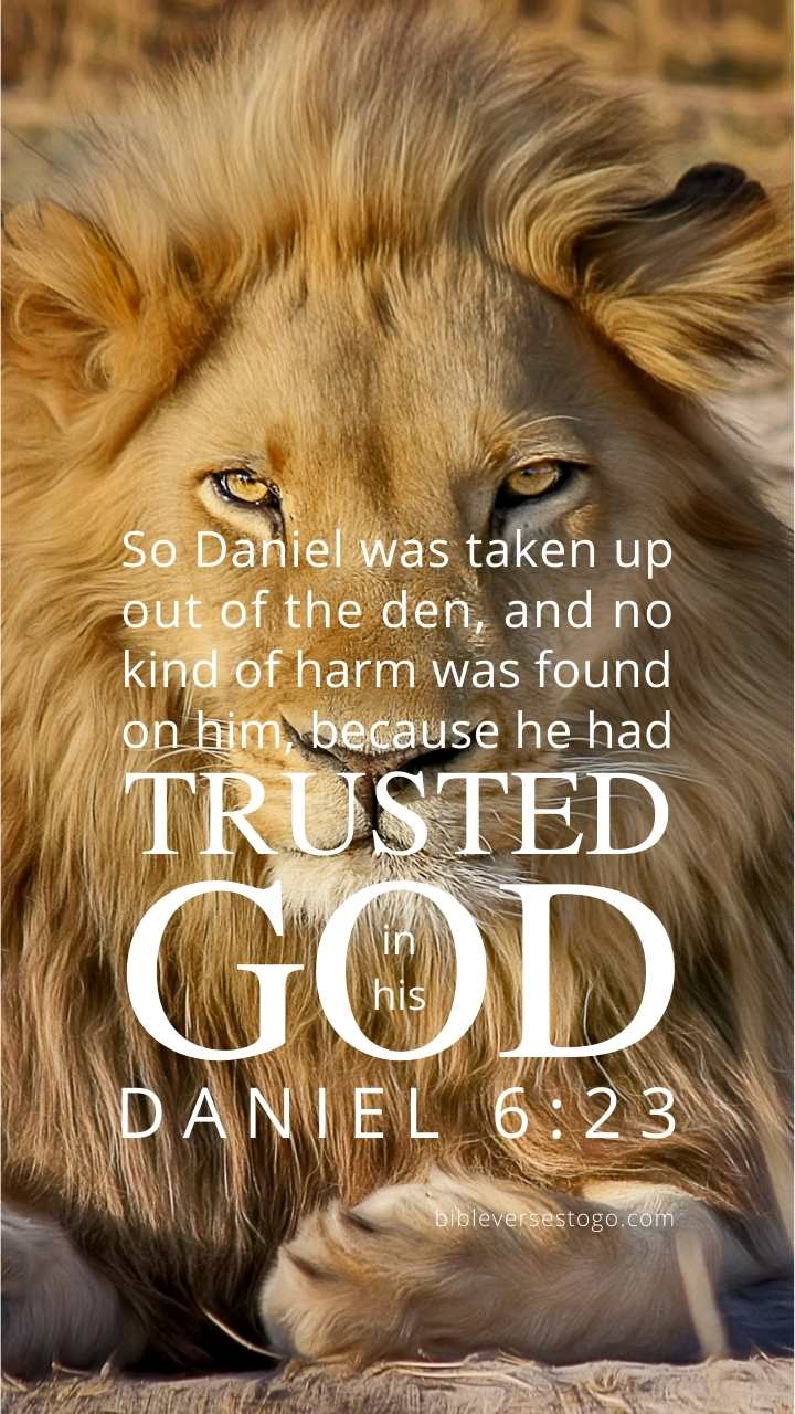 Christian Wallpaper - Lion&#39;s Den Daniel 6:23
