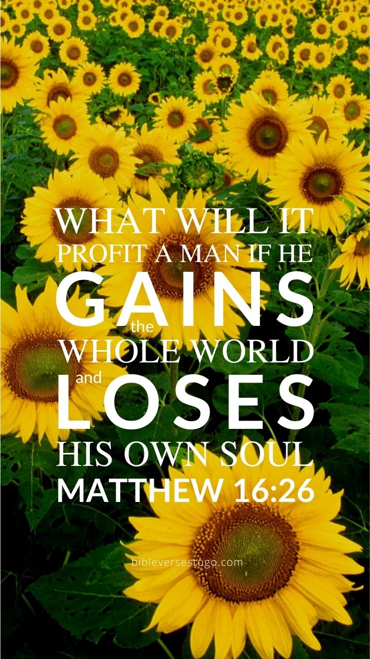 Christian Wallpaper - Lose Your Soul Matthew 16:26