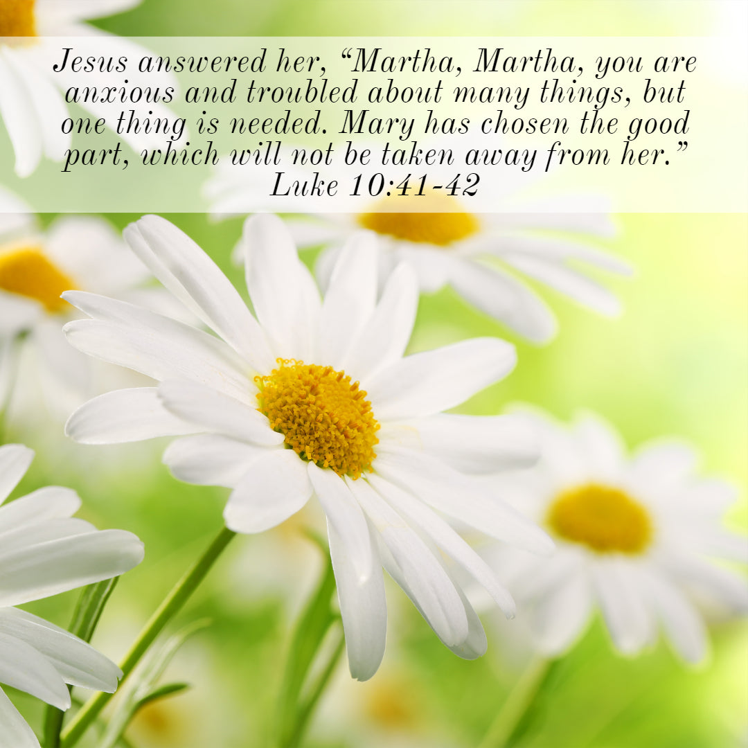 Luke 10:41-42 - Anxious and Troubled About Many Things - Bible Verses To Go