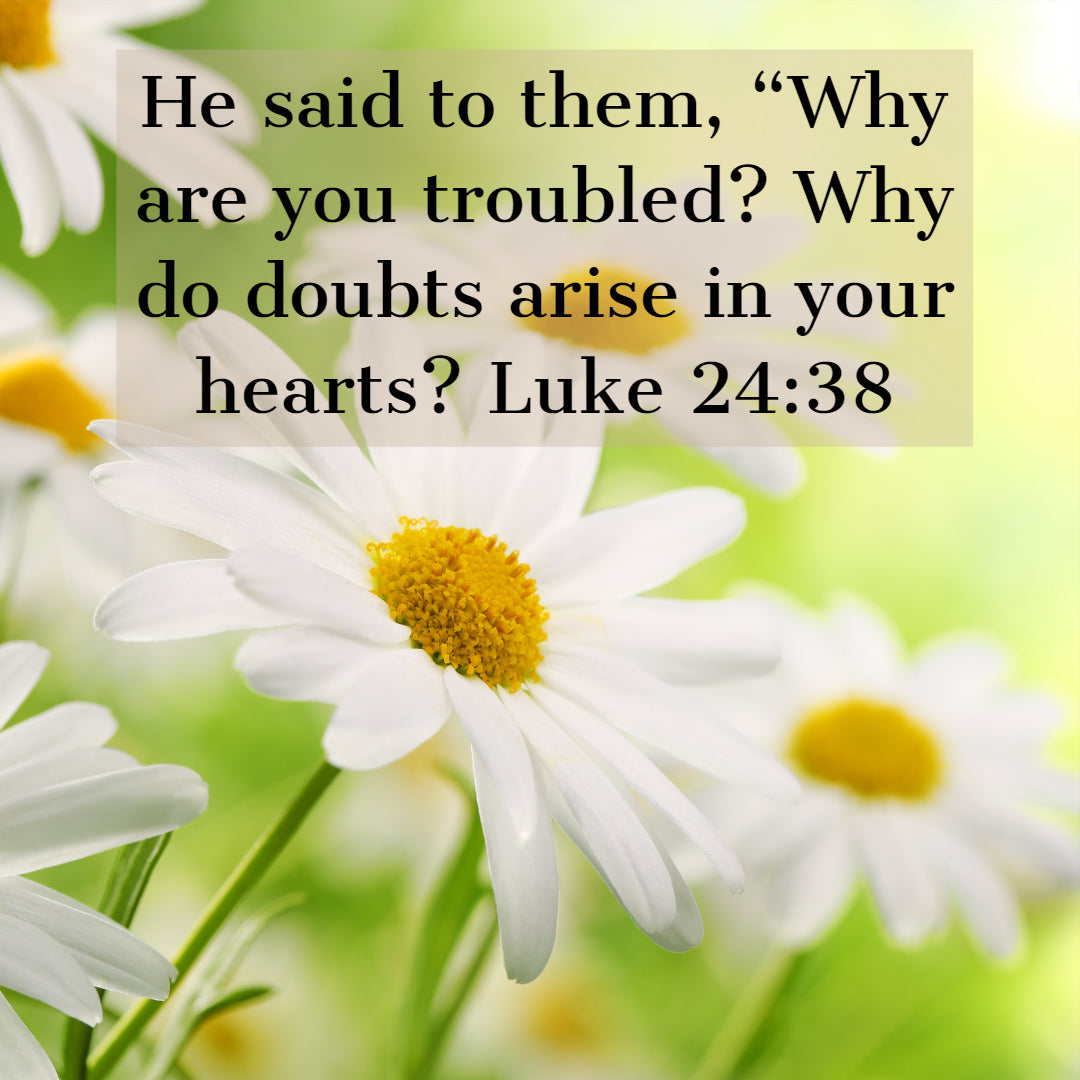 Luke 24:38 - Why Are You Troubled - Bible Verses To Go