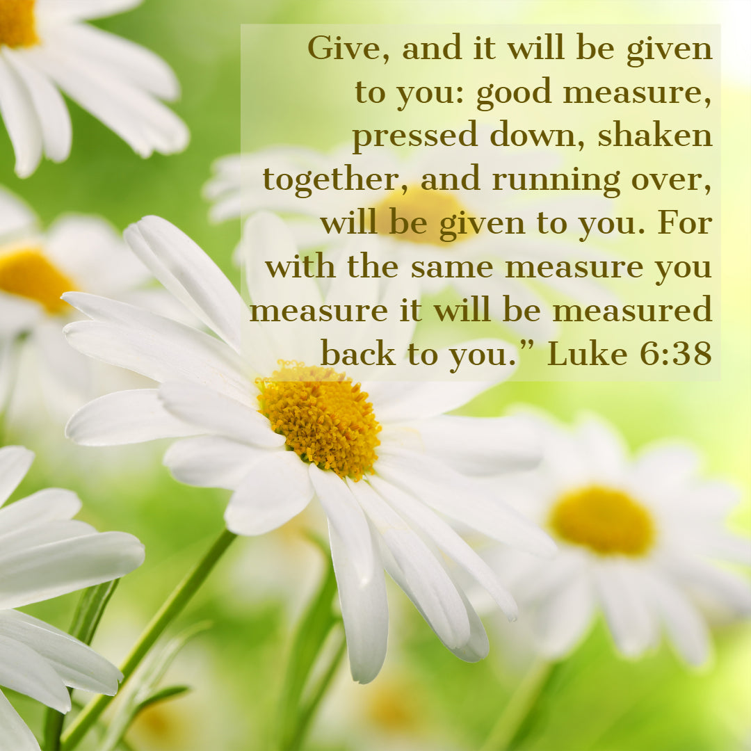 Luke 6:38 - Give and It Will Be Given to You - Bible Verses To Go