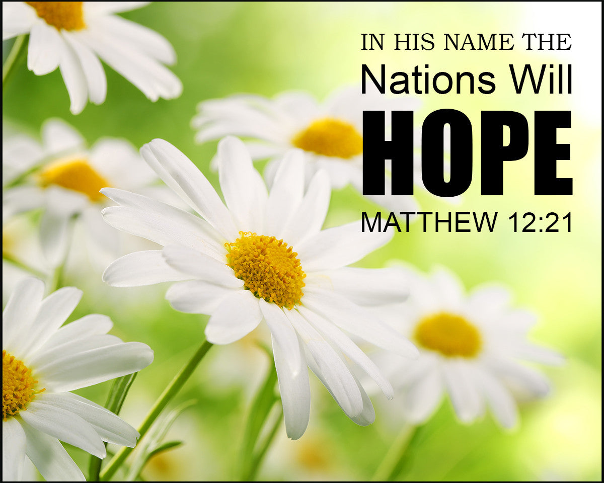 Matthew 12:21 - Nations Hope - Bible Verses To Go