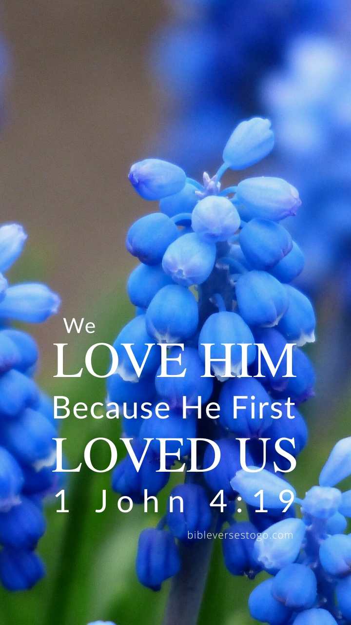 Christian Wallpaper - Muscari 1 John 4:19