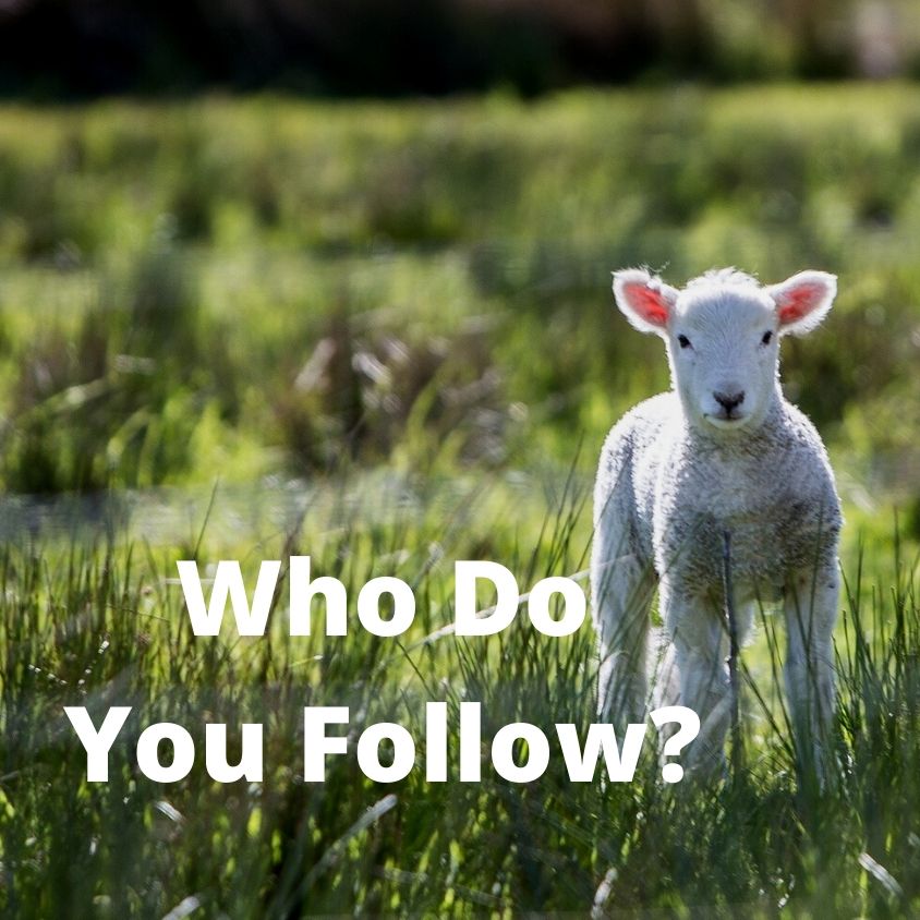 Psalm 23:1-3 My Shepherd - VIDEO