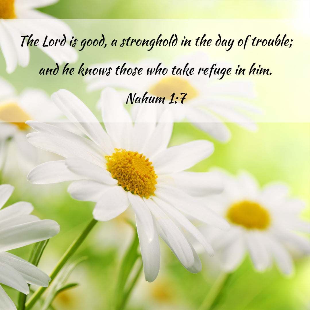 Nahum 1:7 - Take Refuge in Him - Bible Verses To Go