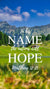 Christian Wallpaper - Nations Hope Matthew 12:21
