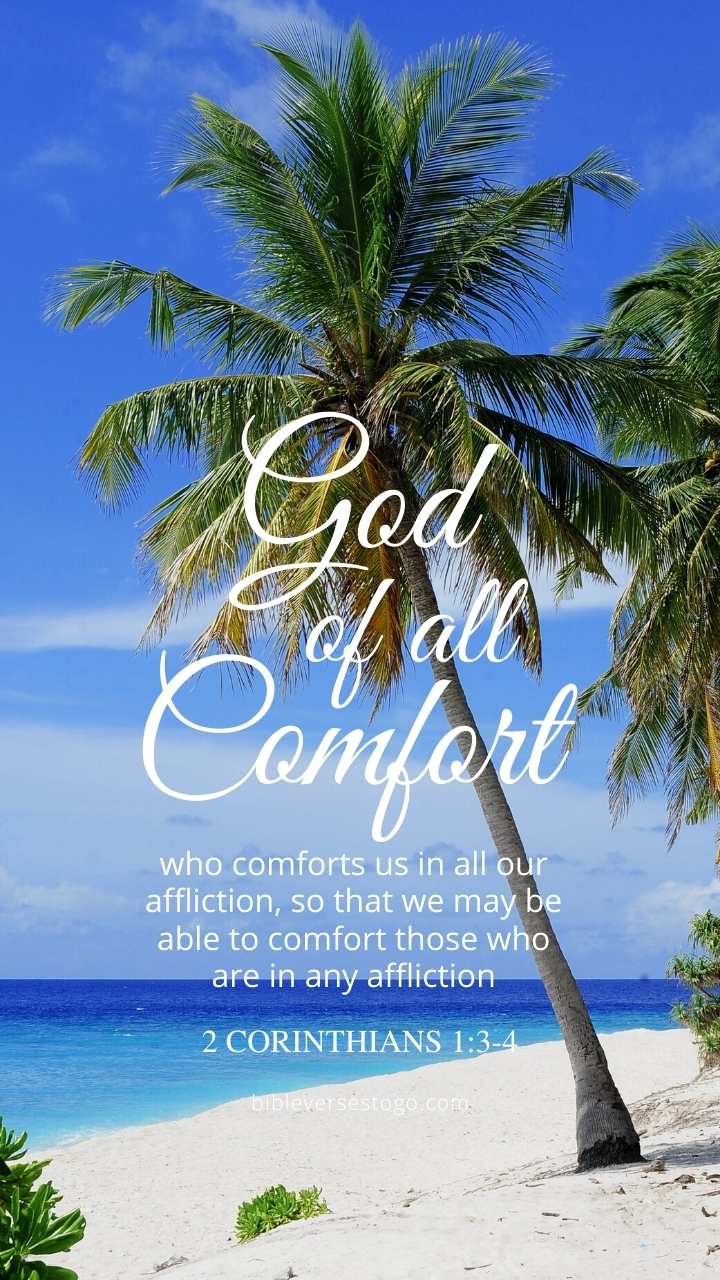 Christian Wallpaper - Palm Beach 2 Corinthians 1:3-4